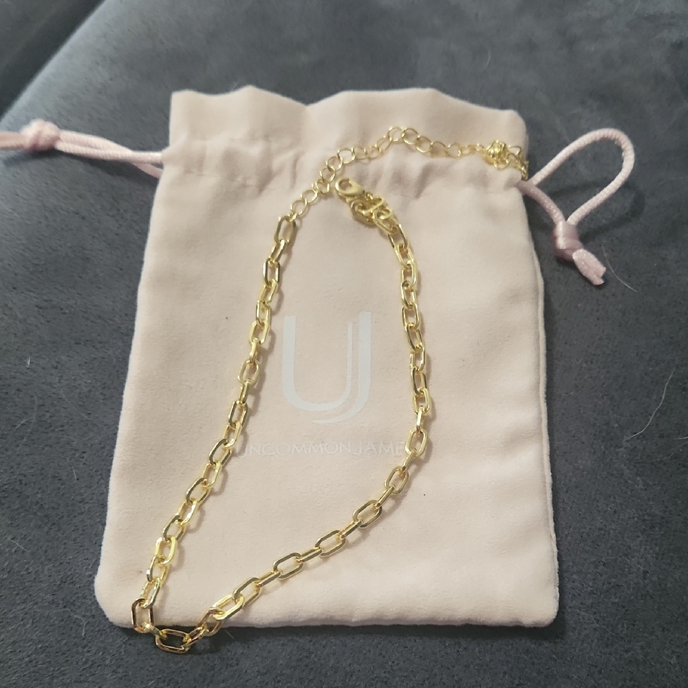 Uncommon James Gold Chain Link Necklace with Pink Pouch